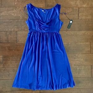 Vibrant Royal Blue Knit Dresss